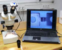 Microscopes de la srie TM en usage.
